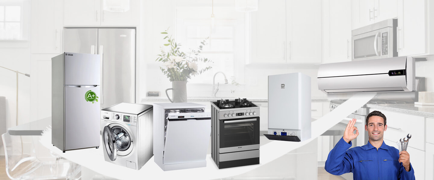 Sarıcakaya Vaillant Servisi